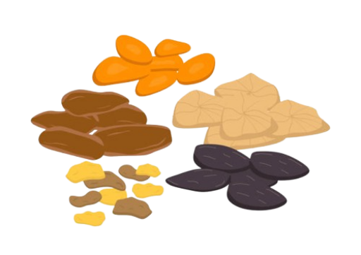 Cropped cropped istockphoto 1312772741 612x612 removebg preview.png